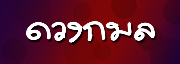 psl-doungkamol-logo-pro